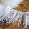 Ostrich feather trim