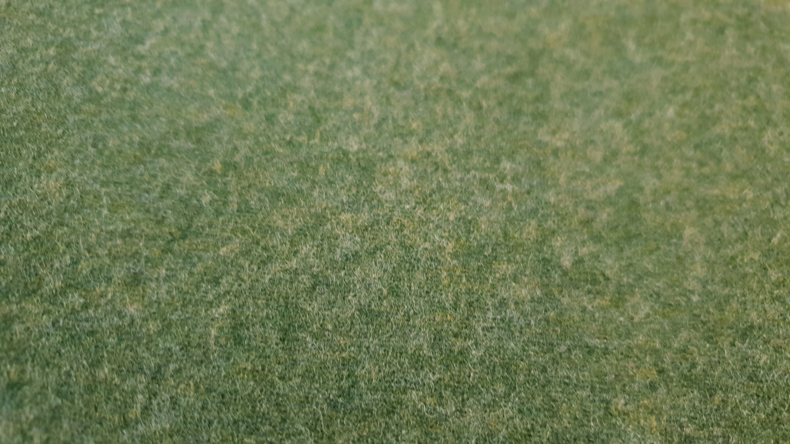 German THIN melange wool- green 459