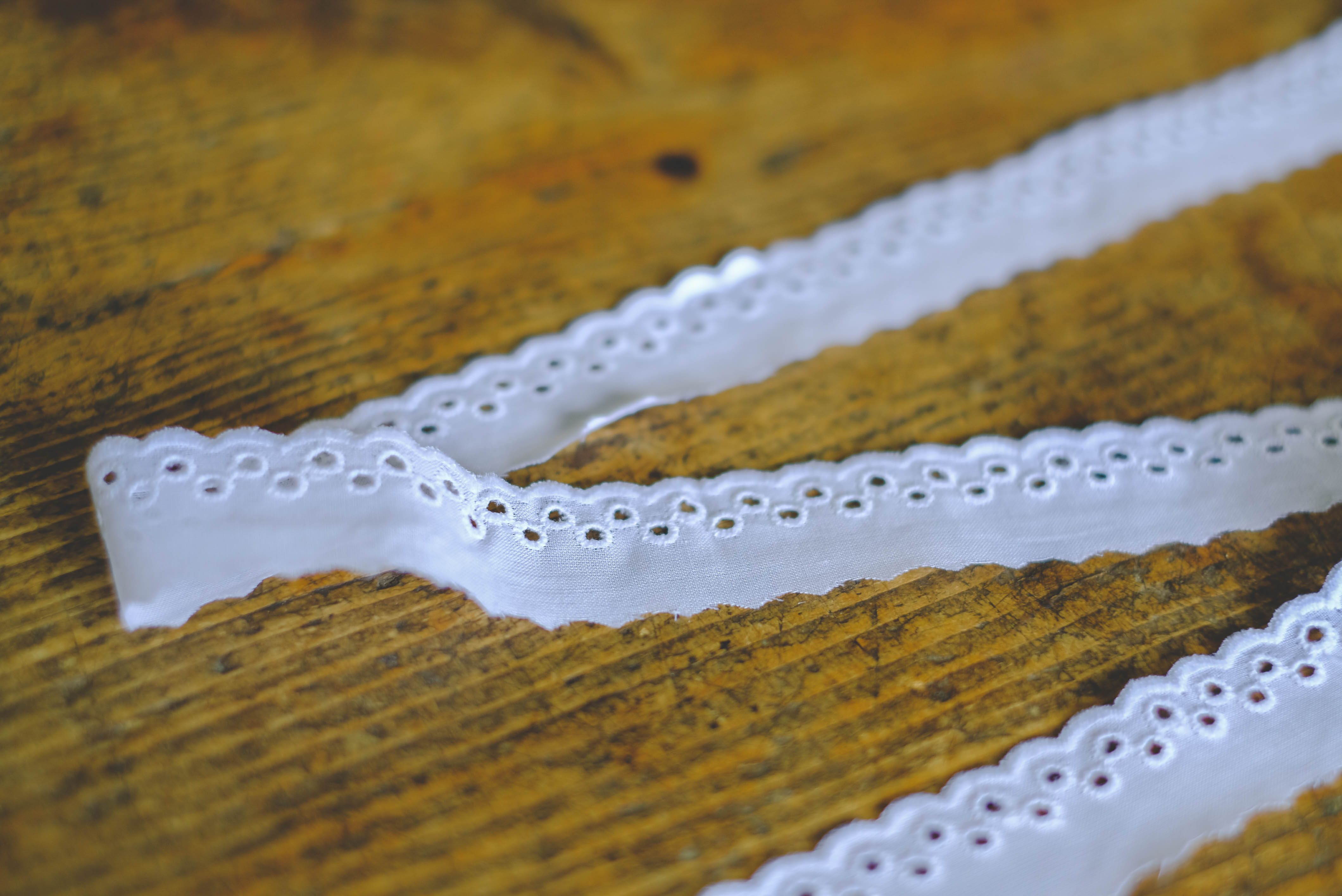 Embroidered cotton lace 2,5cm- white