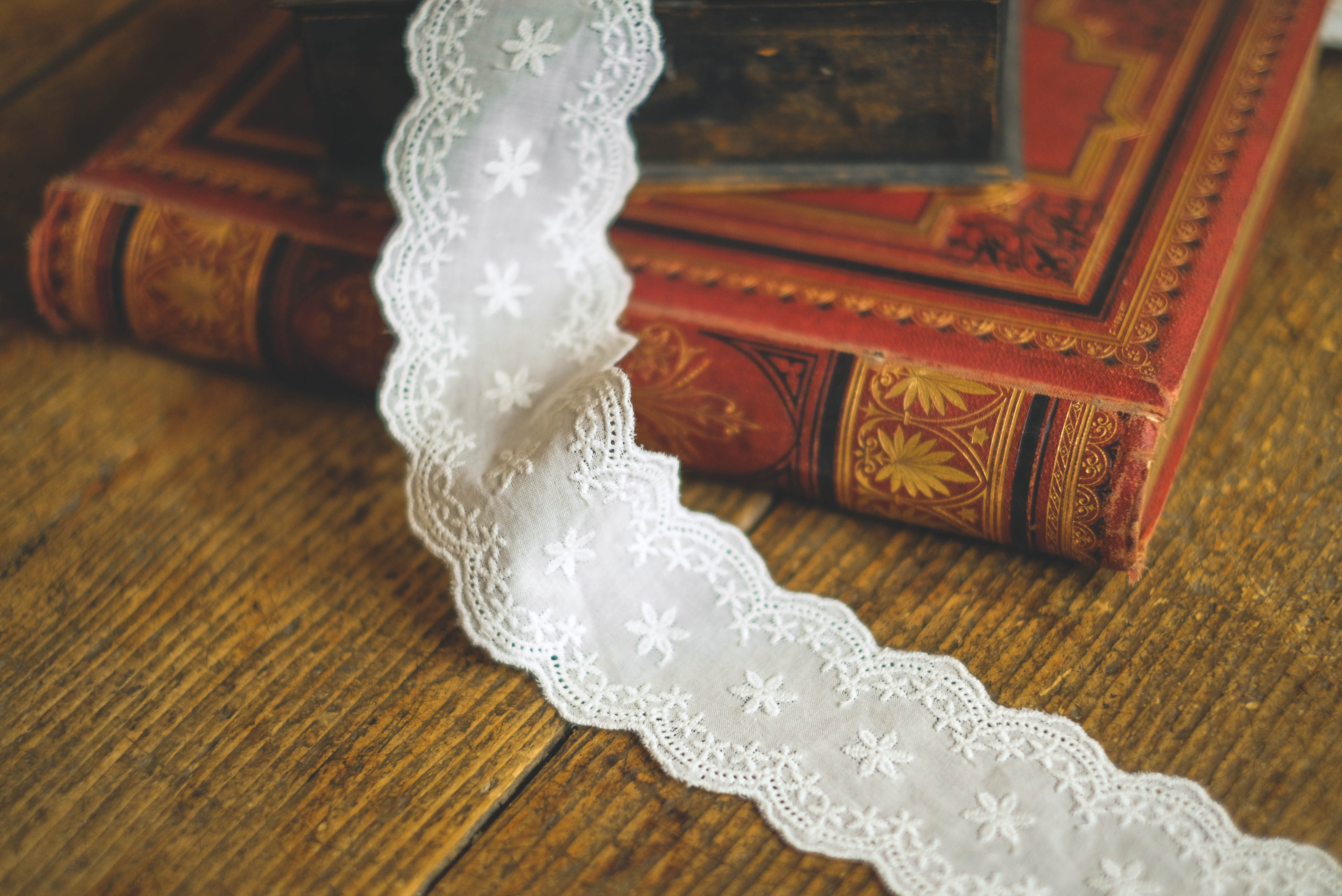 Embroidered cotton lace 5,5cm- white