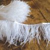 Ostrich feather trim