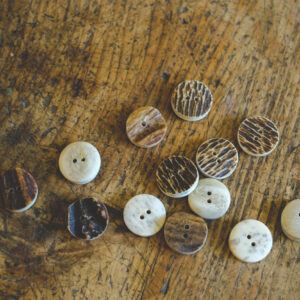 Rustic stag horn button