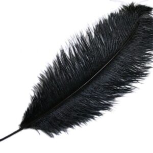Black ostrich feather 60cm