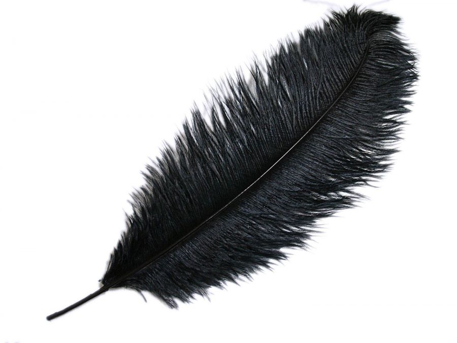 Black ostrich feather 60cm