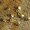 Brass button plain-14mm