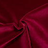 Fabric swatch- glossy cotton velvet