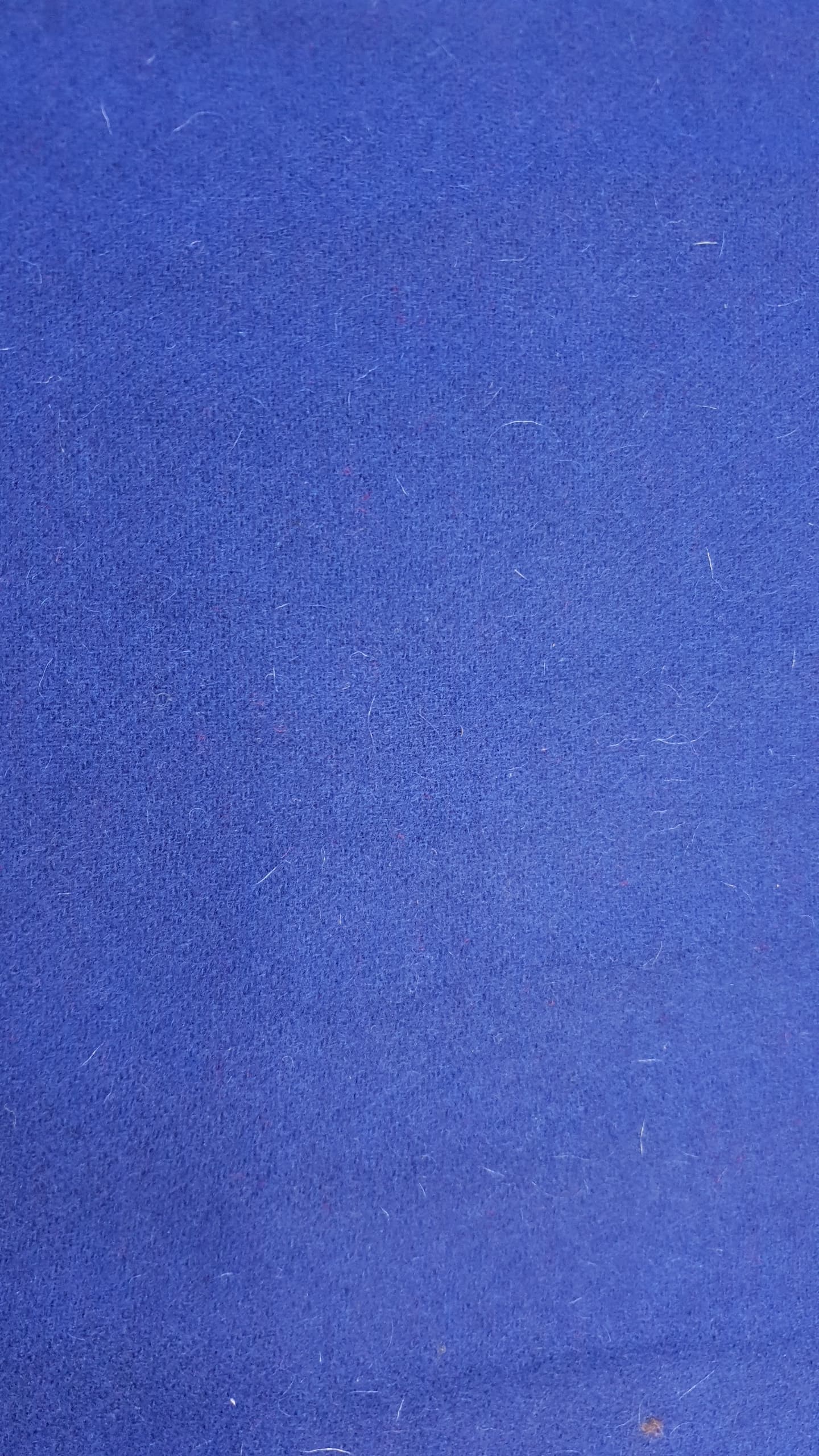 SIGRID medium wool twill- royal blue 16