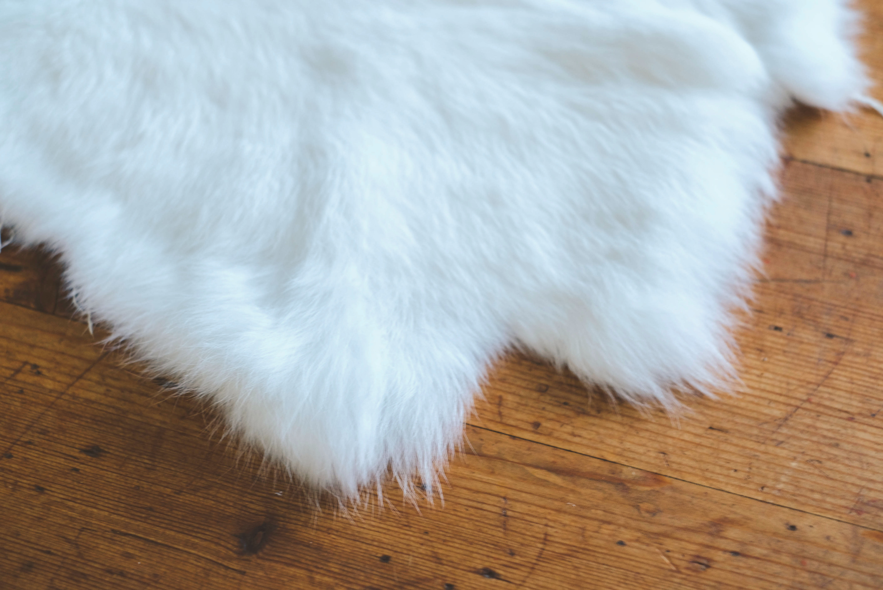 Rabbit fur-white