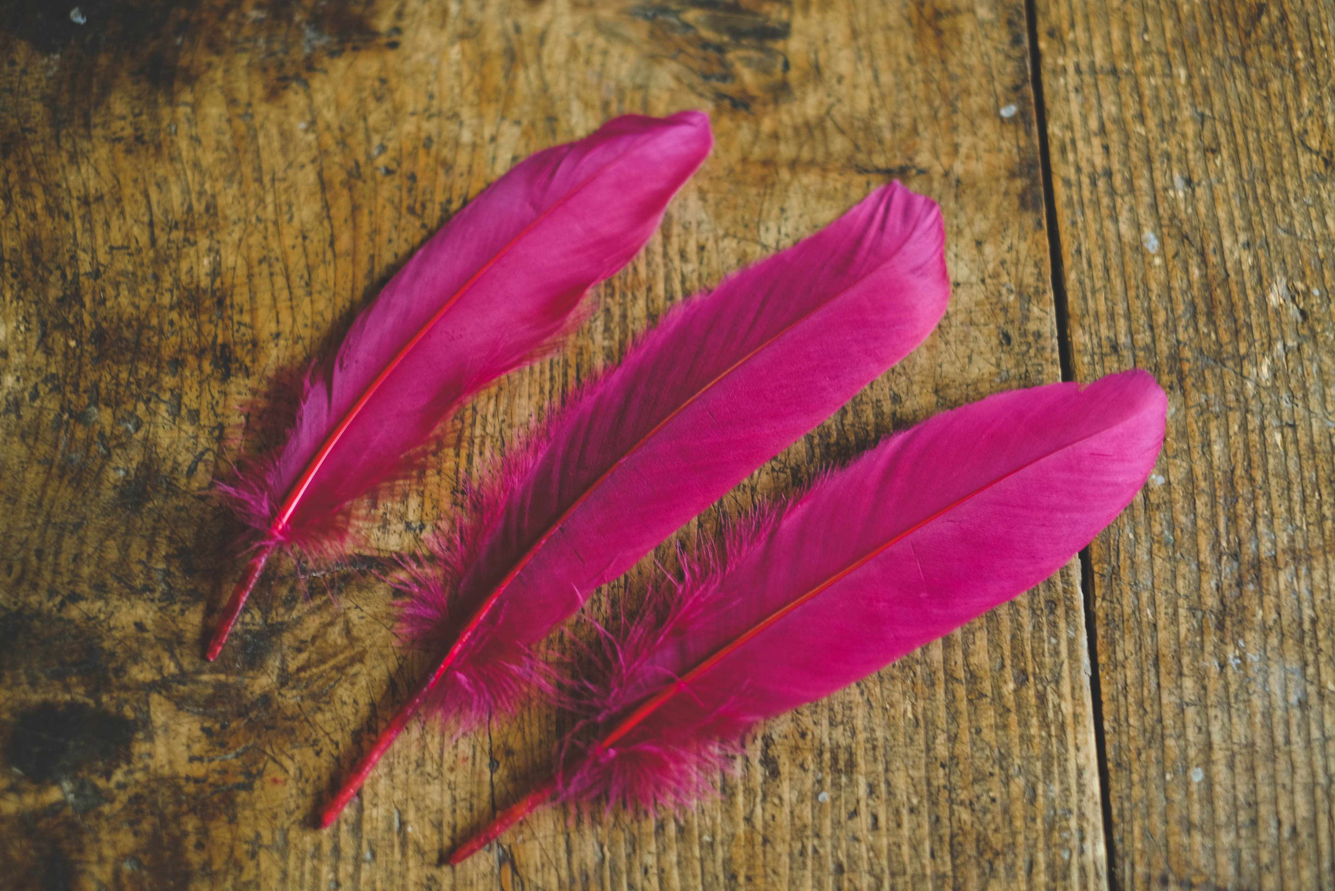 Dark pink goose feather 15-20cm