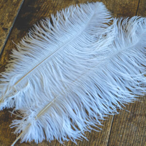 White ostrich feather 35-40cm