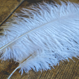 White ostrich feather 40-45cm
