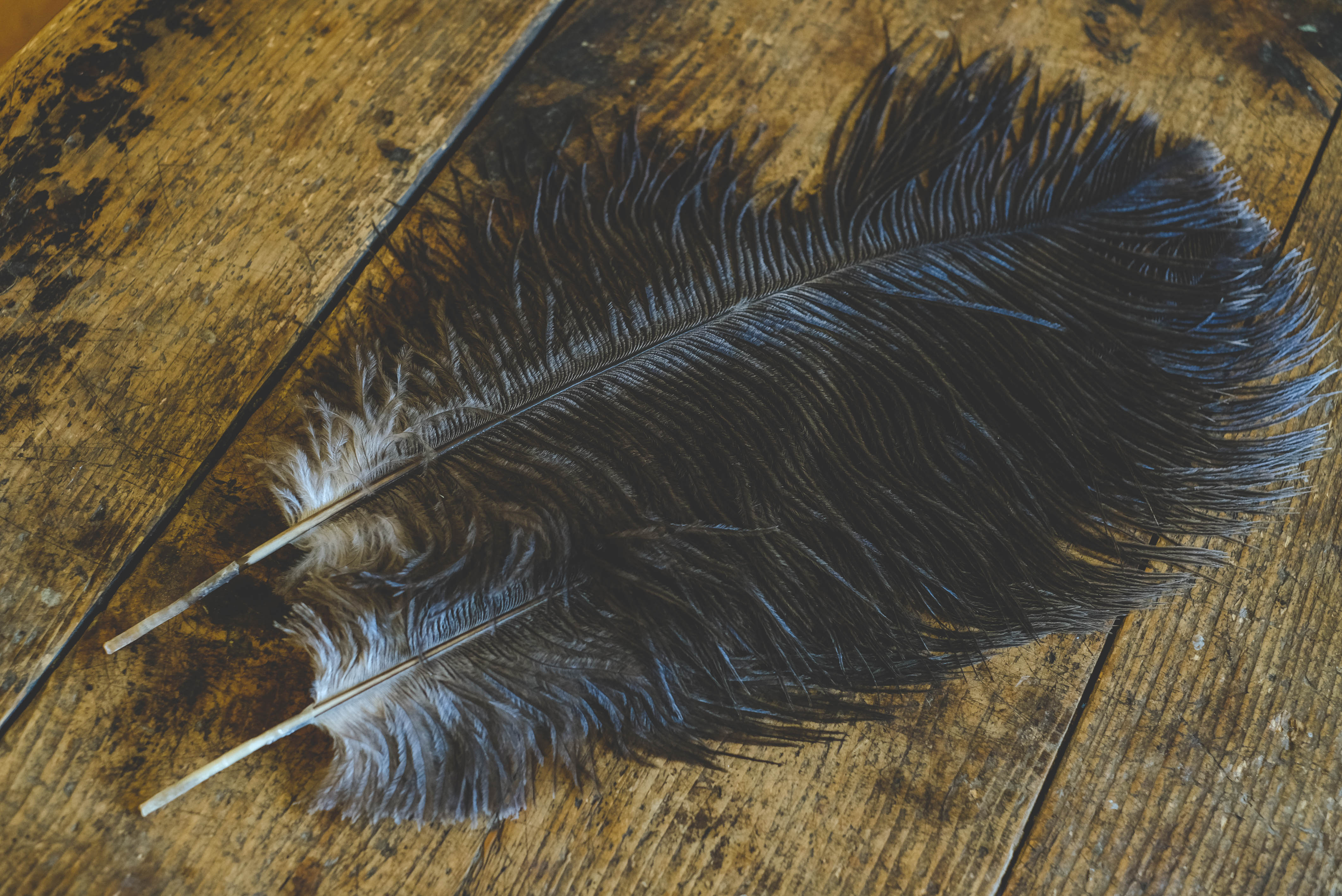 Natural gray ostrich feather 40-45cm