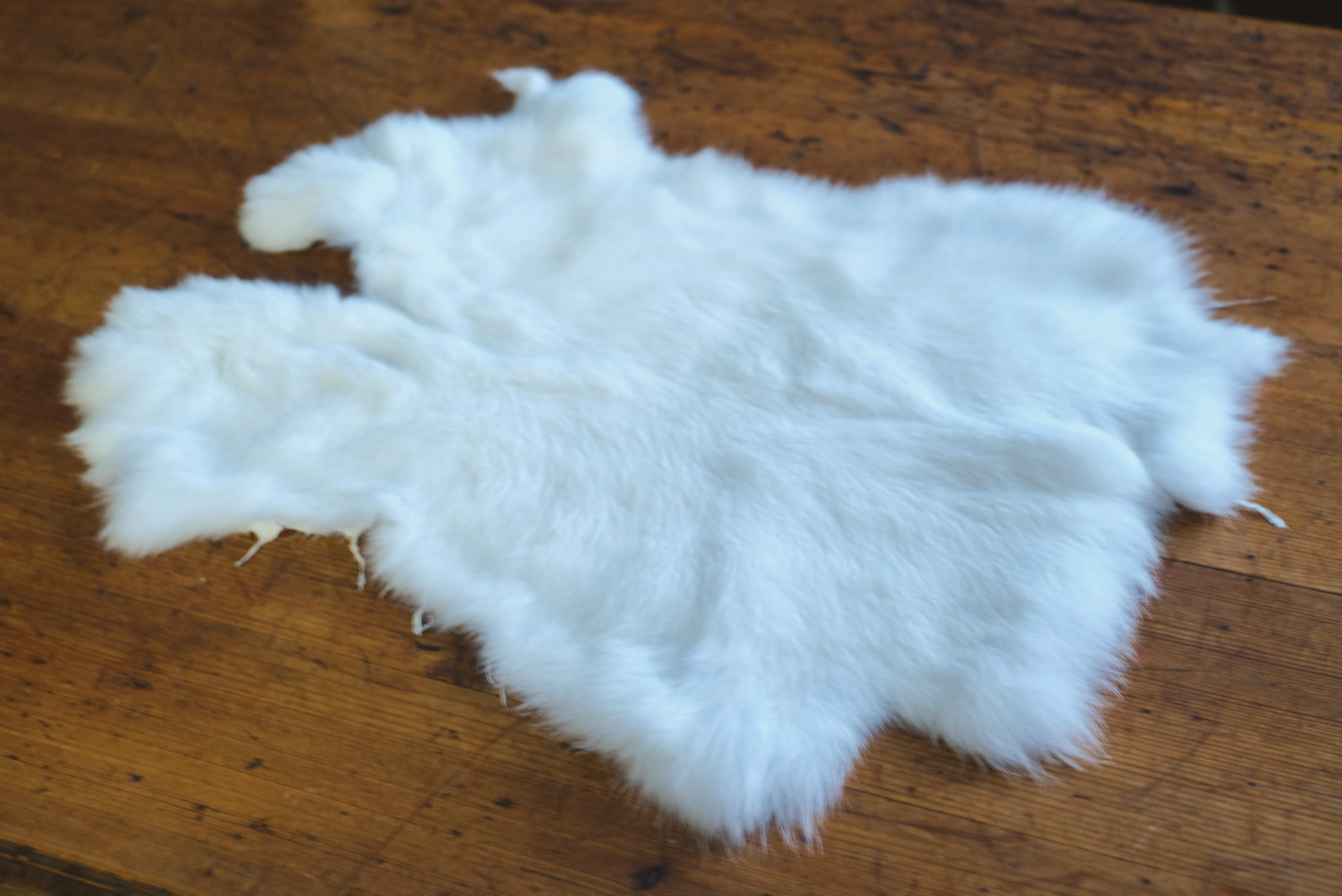 Rabbit fur-white