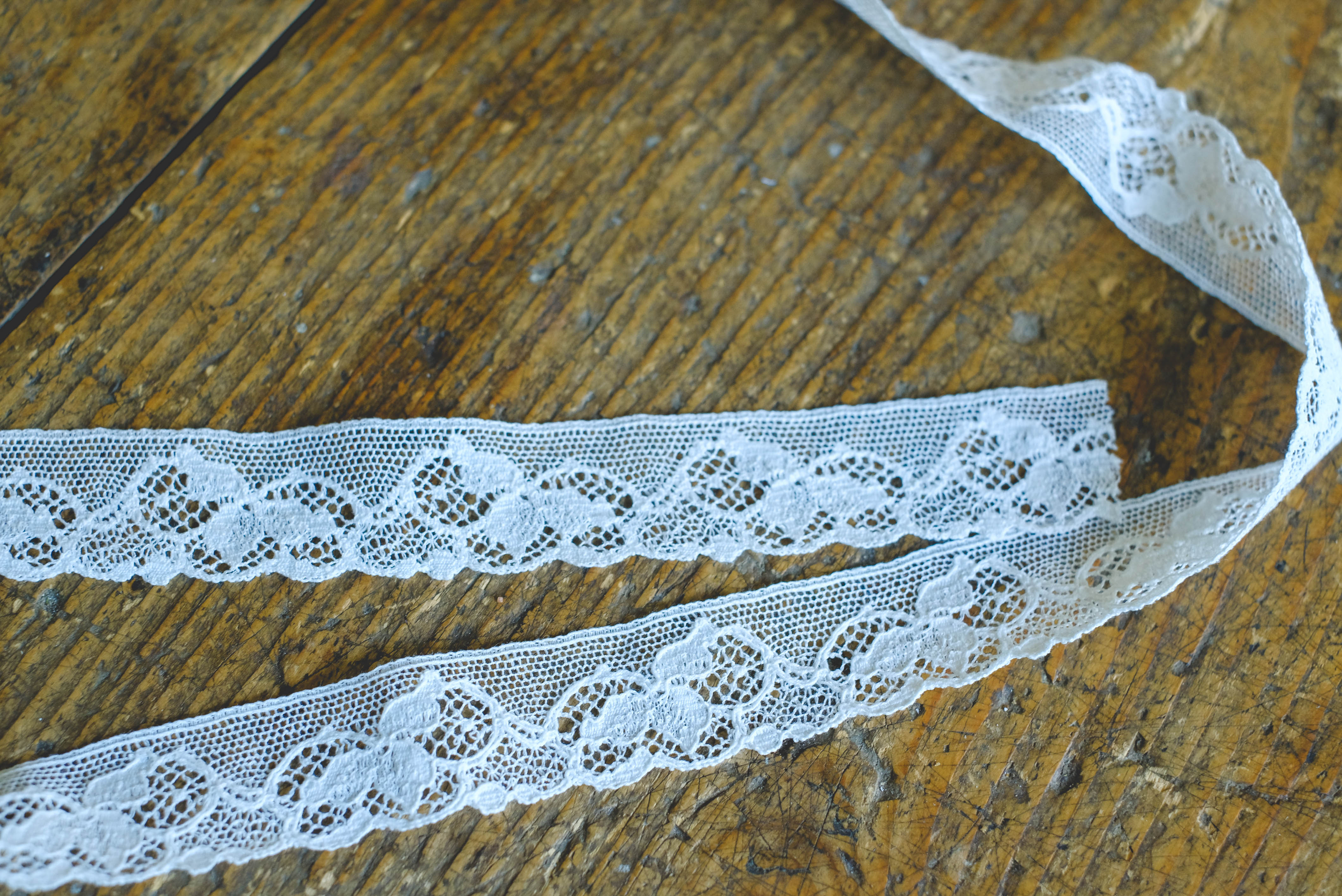 English Cluny lace- 8B ivory
