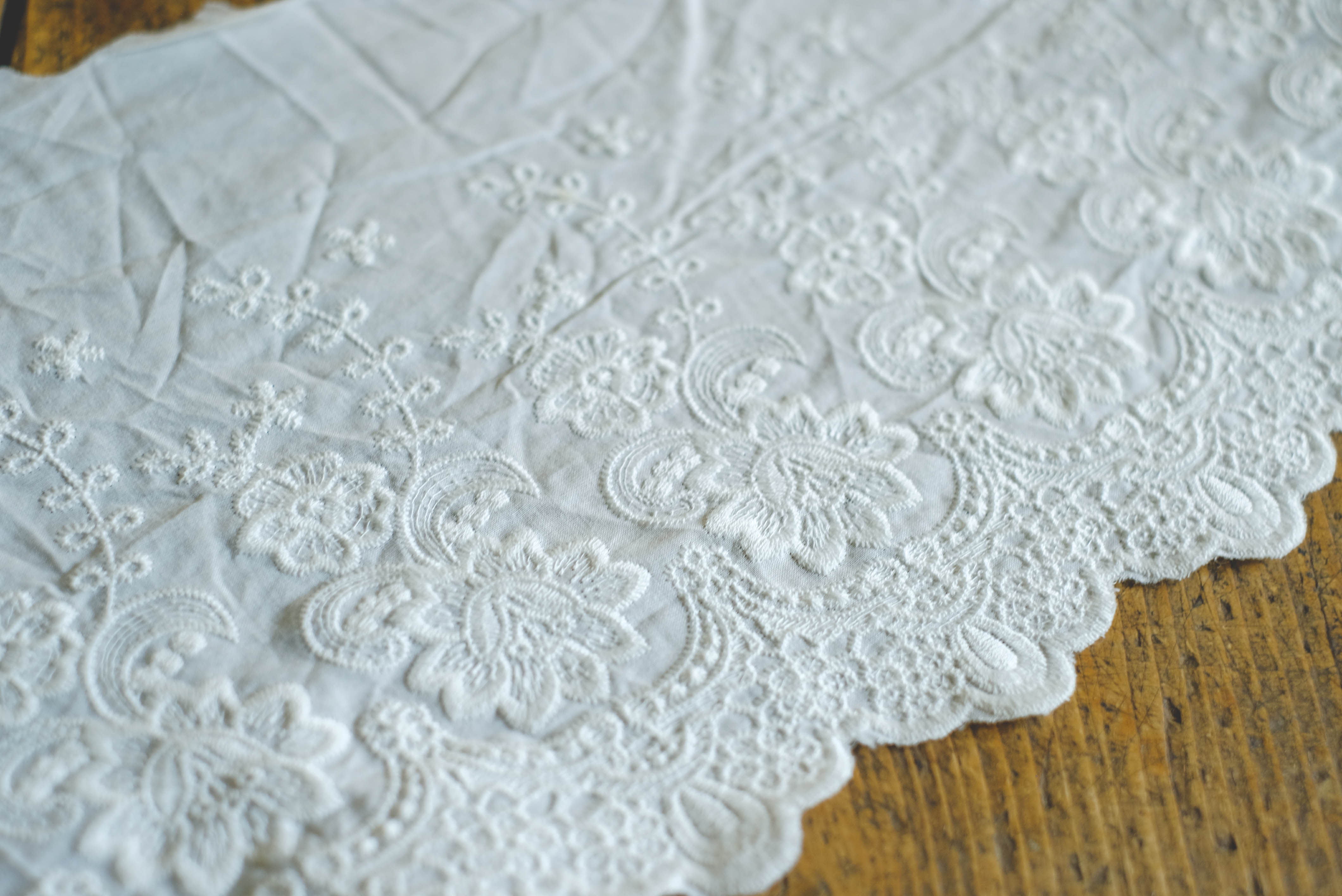 Embroidered cotton lace 22cm - B offwhite